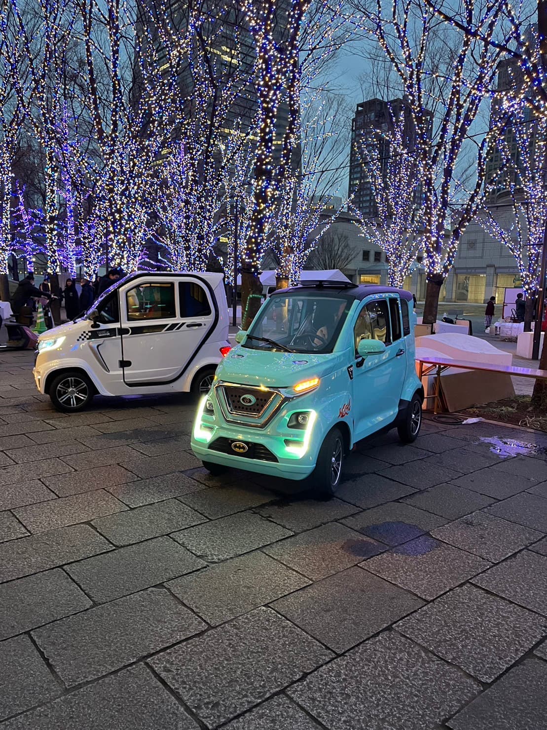 イルミネーション会場での夜間展示